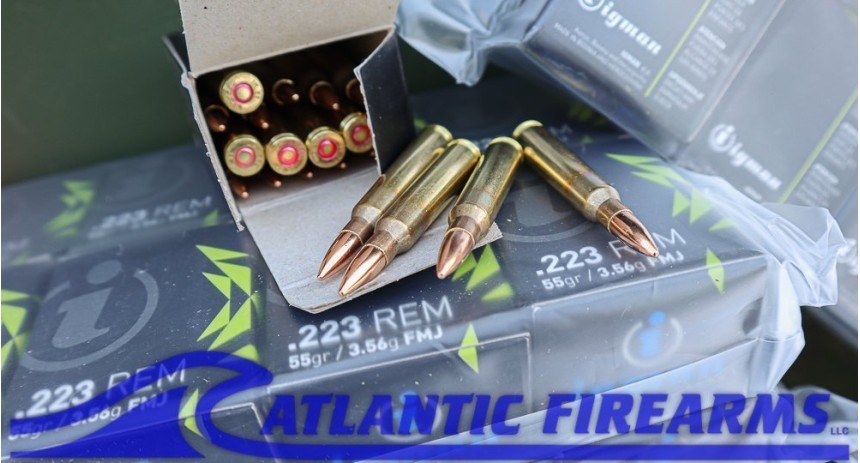 Igman .223 Remington Brass 1000 Round Ammo Case