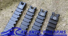 Omega Gideon Shadow Rail Set