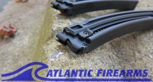 GSG-16 .22LR 22 ROUND MAGAZINE (2-Pack)