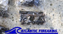 AKM / AK47 WBP Polish Rivet Set Bulk 10 Pack